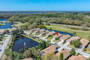 3912 Silk Oak Ln, Palm Harbor, FL 34685 - Photo 42