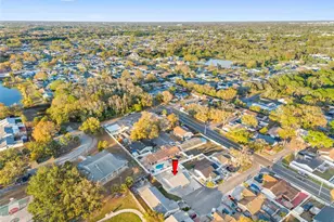 10113 Royal Acres Ct, Tampa, FL 33615 - Photo 16