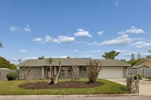 1611 Sunnyhills Dr, Brandon, FL 33510 - Photo 4