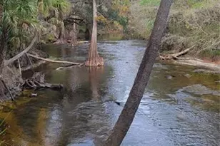 5201 Silverado Way, Valrico, FL 33596 - Photo 42