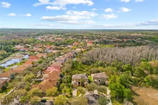 20120 Shady Hill Ln, Tampa, FL 33647 - Photo 90