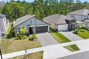 18178 Serene Lake Loop, Lutz, FL 33548 - Photo 38