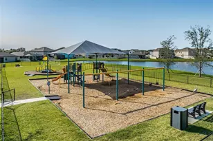 31385 Tansy Bnd, Wesley Chapel, FL 33545 - Photo 70