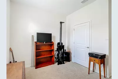 31385 Tansy Bend, Wesley Chapel, FL 33545 - Photo 34