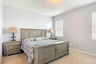 31385 Tansy Bnd, Wesley Chapel, FL 33545 - Photo 28