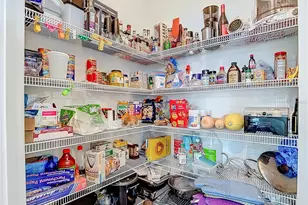 31385 Tansy Bnd, Wesley Chapel, FL 33545 - Photo 20