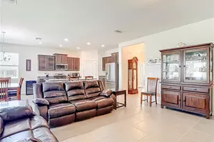 31385 Tansy Bnd, Wesley Chapel, FL 33545 - Photo 10