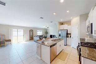 10313 Scarlet Skimmer Dr, Riverview, FL 33578 - Photo 10