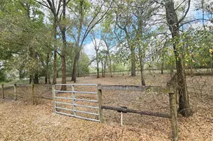 37416 Hackney Pl, Dade City, FL 33523 - Photo 68