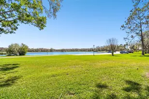 36750 US Hwy 19 N, Palm Harbor, FL 34684 - Photo 36