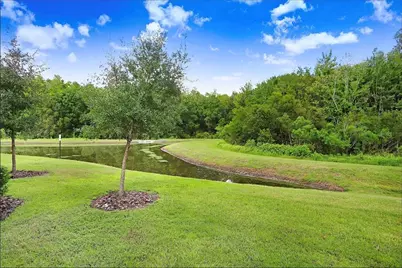 32934 Kaloko Road, Wesley Chapel, FL 33543 - Photo 14