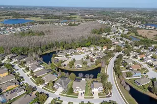 19419 Autumn Chase Ct, Land O Lakes, FL 34638 - Photo 66