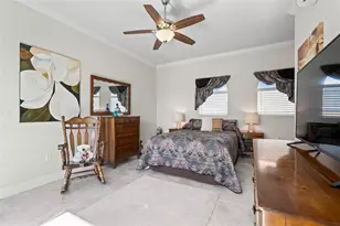 31865 Tortuga Shore Loop, Wesley Chapel, FL 33545 - Photo 70