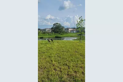 35542 Buttonweed, Zephyrhills, FL 33541 - Photo 20