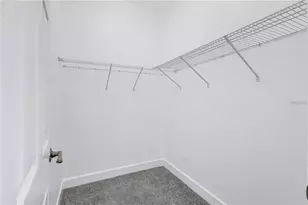 5830 Circa Fishhawk Blvd, Lithia, FL 33547 - Photo 26