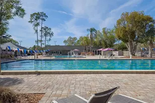 35 Kelleys Trail, Oldsmar, FL 34677 - Photo 98