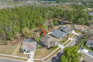 18536 Otterwood Ave, Tampa, FL 33647 - Photo 2