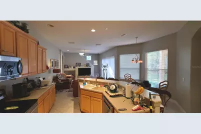 6041 Catlin Drive, Tampa, FL 33647 - Photo 10