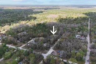 10711 Wabayo St, New Port Richey, FL 34654 - Photo 50