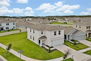 16651 Mosaic Oar Dr, Wimauma, FL 33598 - Photo 42