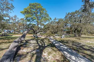 137 Pennsylvania Ave, Palm Harbor, FL 34683 - Photo 42