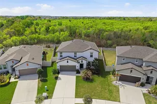 13530 Palmera Vista Dr, Riverview, FL 33579 - Photo 40