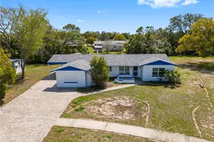 6808 Treehaven Dr, Spring Hill, FL 34606 - Photo 1