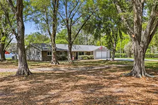 19706 Angel Ln, Odessa, FL 33556 - Photo 14