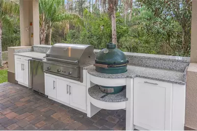 29256 Picana Lane, Wesley Chapel, FL 33543 - Photo 60