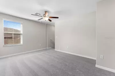 5245 White Chicory Drive, Apollo Beach, FL 33572 - Photo 10