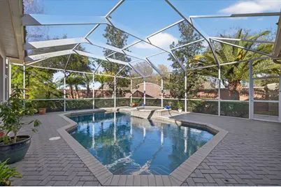 3185 Burberry Street, Tarpon Springs, FL 34688 - Photo 44