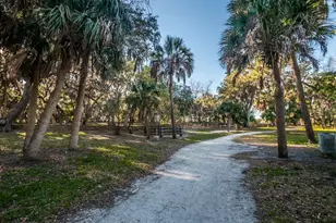 504 Belmont St, Safety Harbor, FL 34695 - Photo 60
