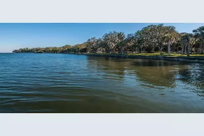 504 Belmont Street, Safety Harbor, FL 34695 - Photo 58