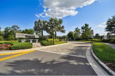 30155 Merilee Place, Wesley Chapel, FL 33545 - Photo 36