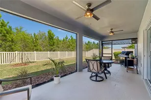 30155 Merilee Pl, Wesley Chapel, FL 33545 - Photo 28