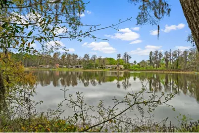 18117 Boy Scout Road, Odessa, FL 33556 - Photo 16