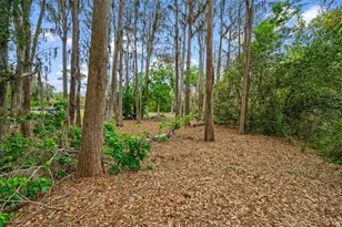 18117 Boy Scout Rd, Odessa, FL 33556 - Photo 8