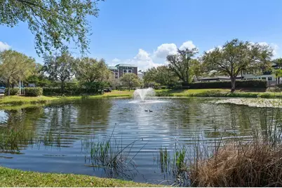 947 Seddon Cove Way #947, Tampa, FL 33602 - Photo 48