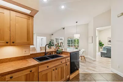 160 Sage Circle, Crystal Beach, FL 34681 - Photo 34
