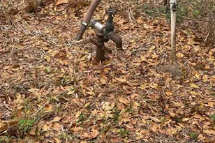 507 8th St SE, Fort Meade, FL 33841 - Photo 8