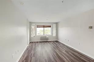 406 S Cedar Ave, Tampa, FL 33606 - Photo 6