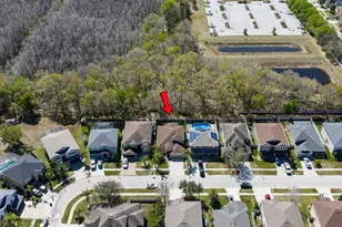 17902 Cunningham Ct, Land O Lakes, FL 34638 - Photo 8