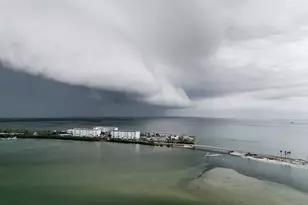 8 Glencoe Pl, Dunedin, FL 34698 - Photo 42