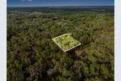 0 Chisholm Street, Brooksville, FL 34601 - Photo 6