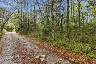 0 Chisholm St, Brooksville, FL 34601 - Photo 1