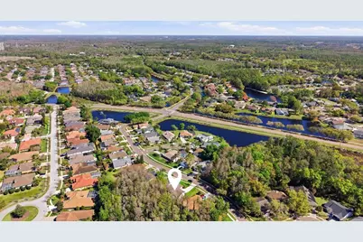 812 Crestridge Drive, Tarpon Springs, FL 34688 - Photo 30