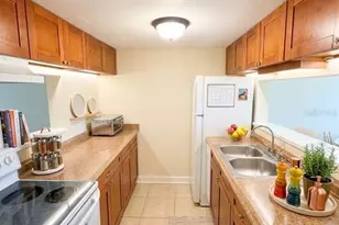 7143 E Bank Dr, Tampa, FL 33617 - Photo 4