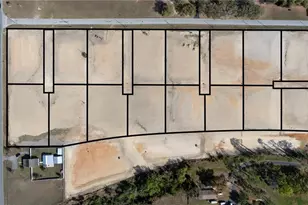 Lot 4 Dunne Rd, San Antonio, FL 33576 - Photo 1