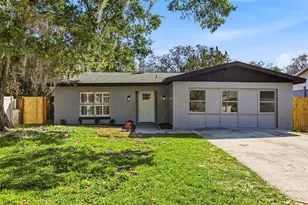 10217 N Pawnee Ave, Tampa, FL 33617 - Photo 4