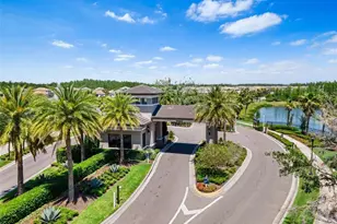 32626 Tree of Life Ave, Wesley Chapel, FL 33543 - Photo 62